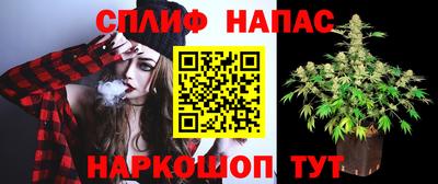 хмурый Будённовск