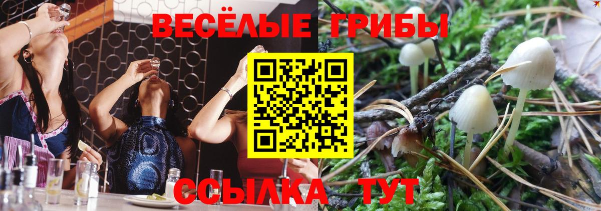 Псилоцибиновые грибы ЛСД  Вход с VPN  Таганрог 